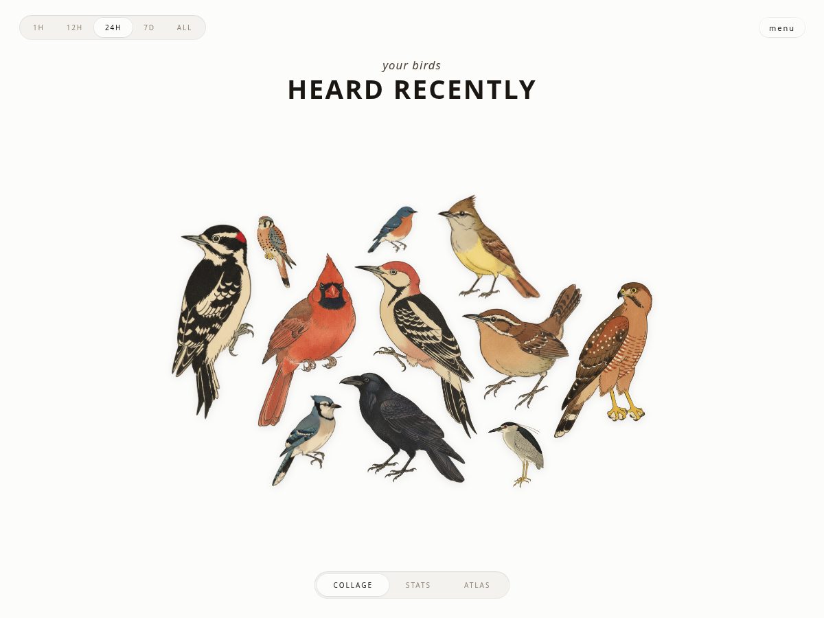 Landing-page snapshot of rachelsbirds.com