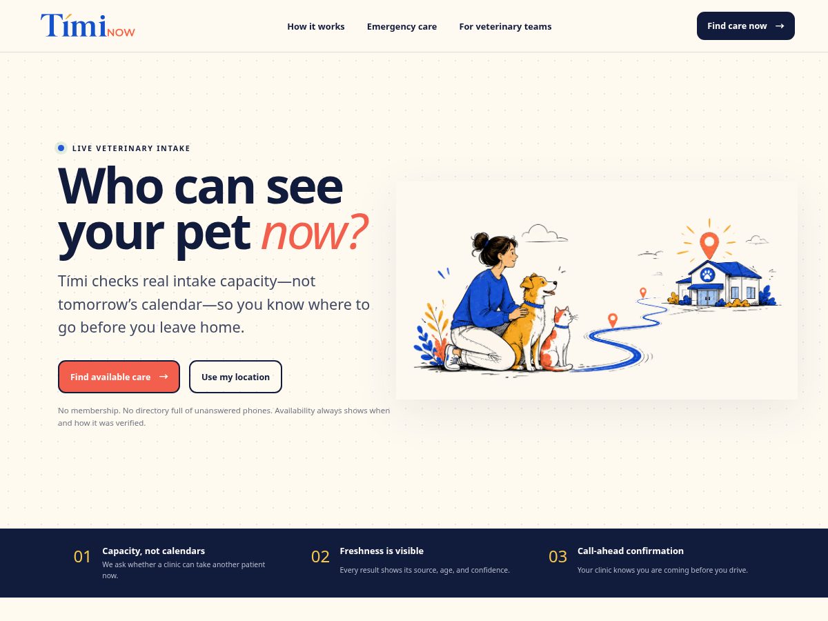 Landing-page snapshot of timinow.pet