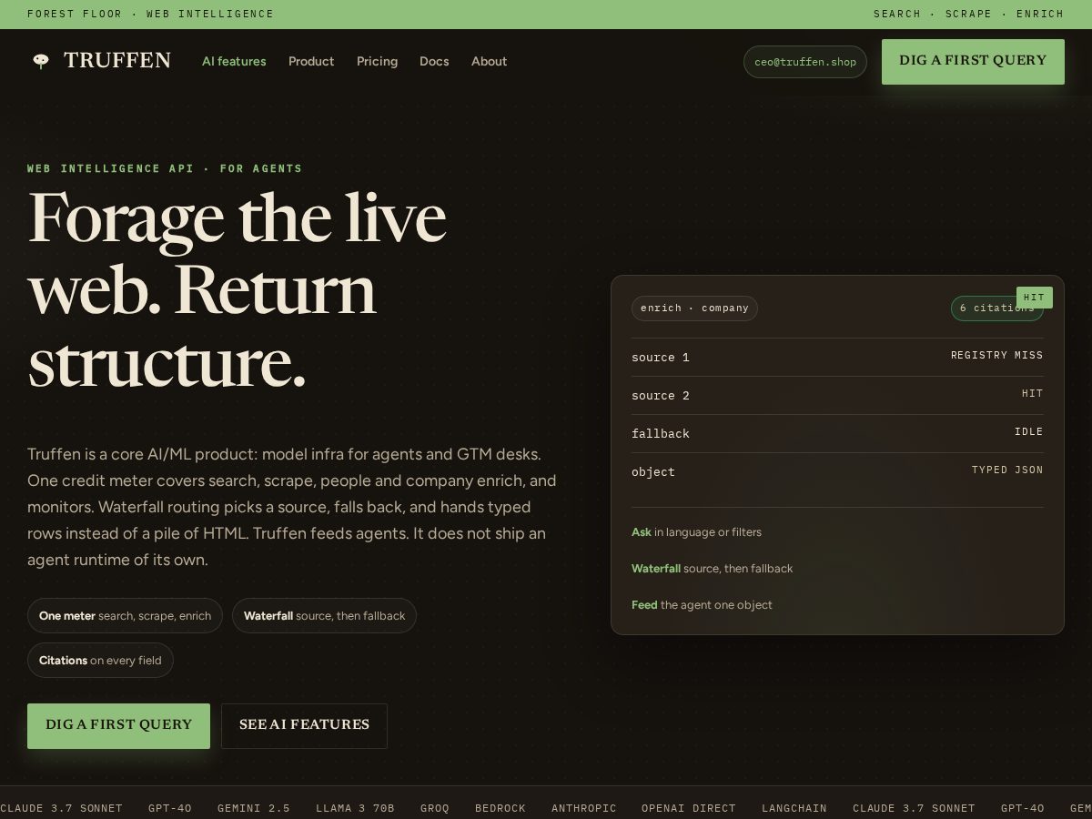 Landing-page snapshot of truffen.shop