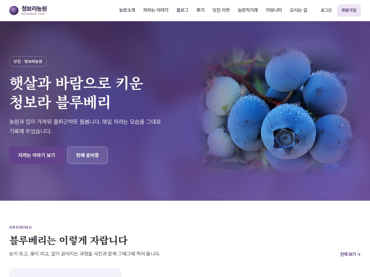 Landing-page snapshot of borafarm.com