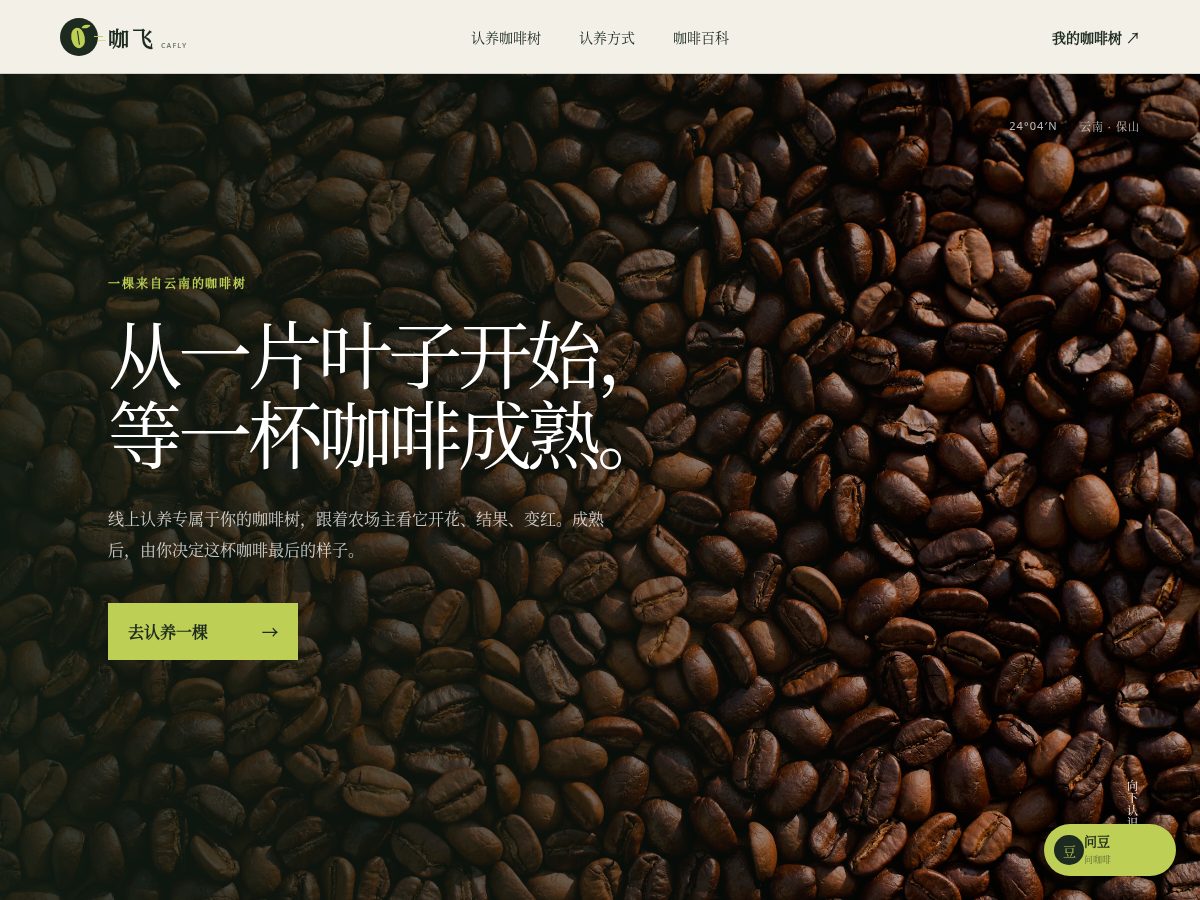 Landing-page snapshot of cafly.top