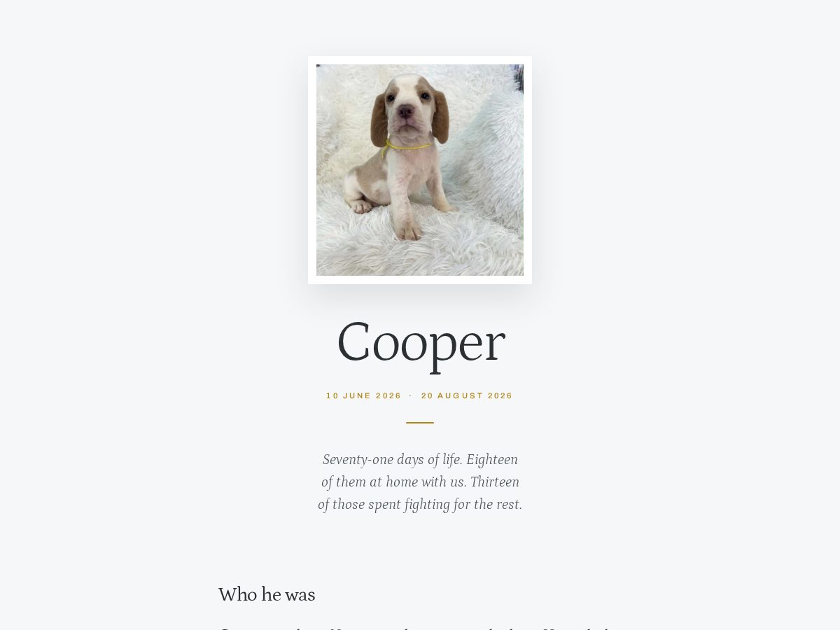 Landing-page snapshot of cooperpuppy.dog