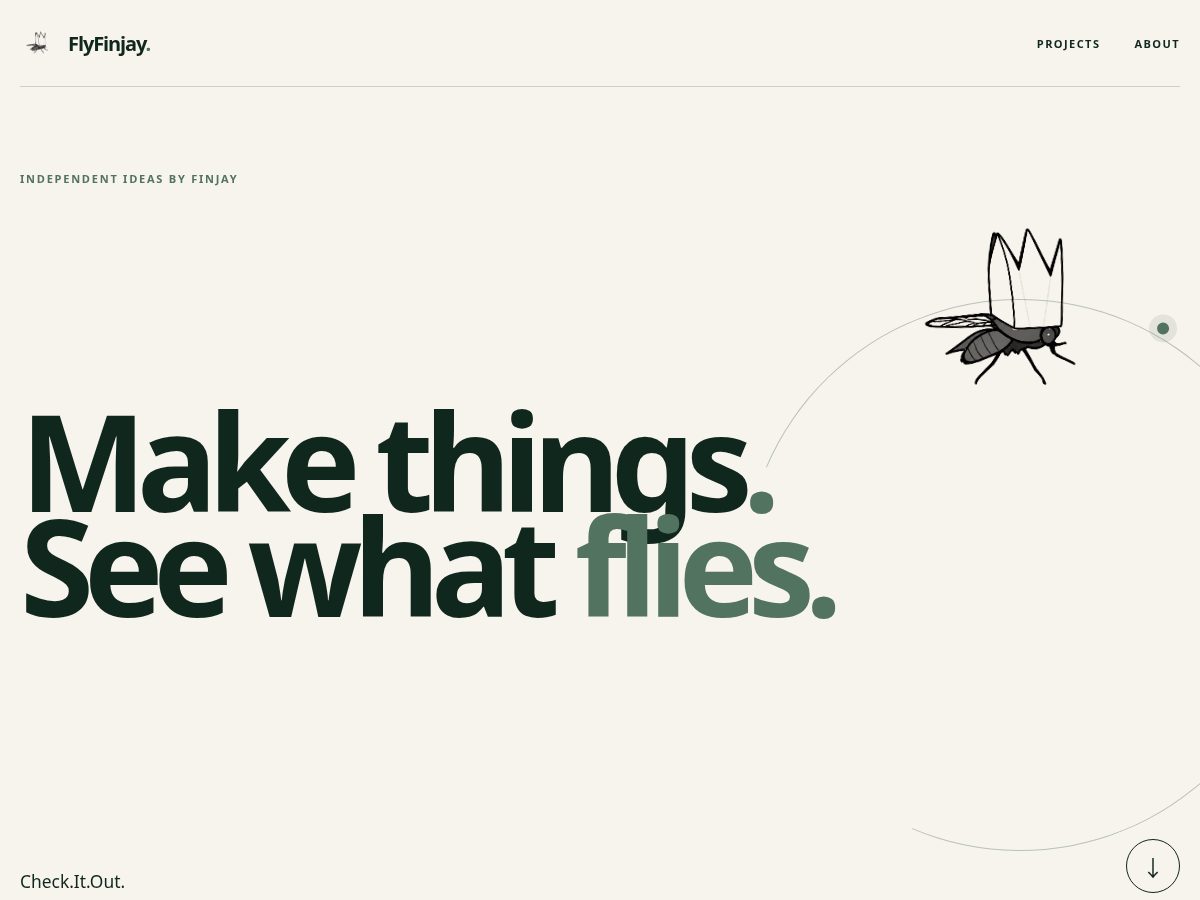 Landing-page snapshot of flyfinjay.com