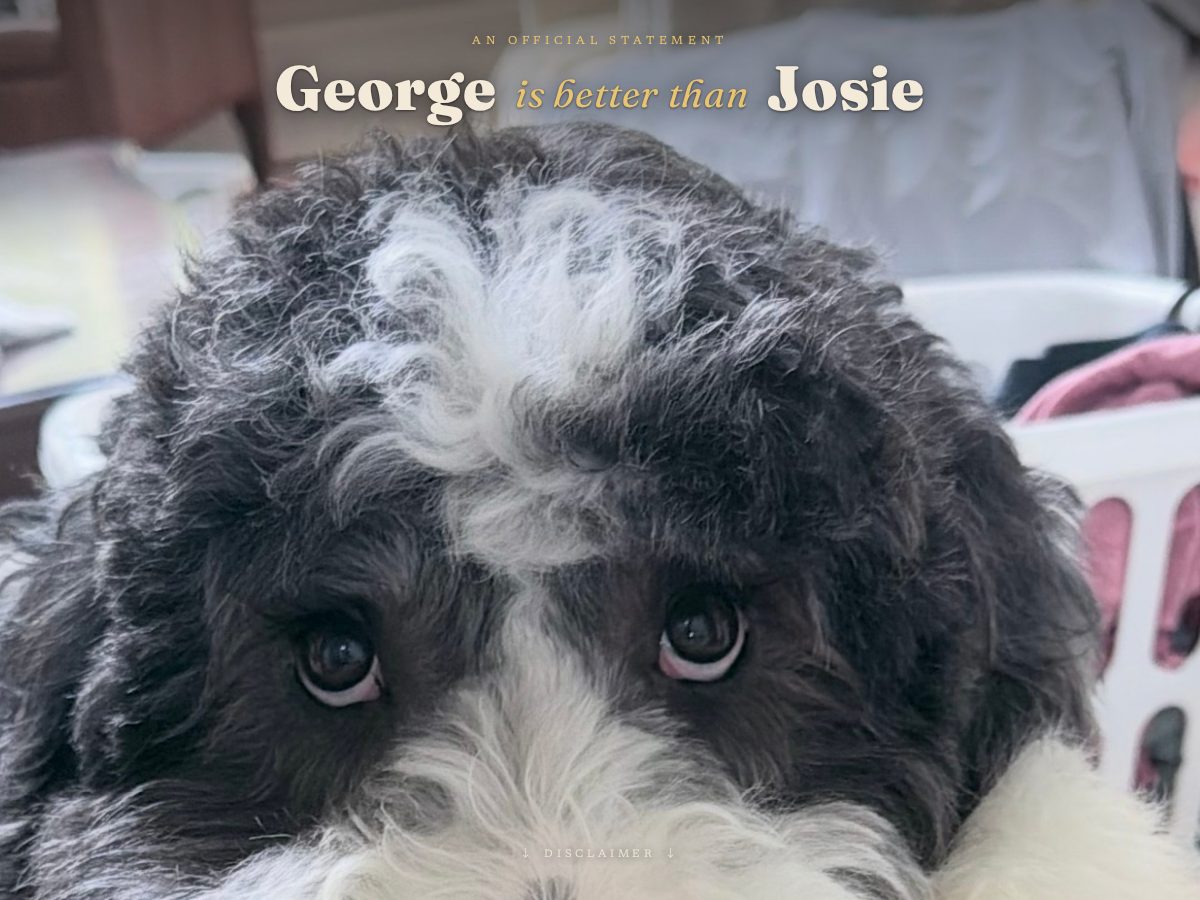Landing-page snapshot of georgeisbetterthanjosie.com