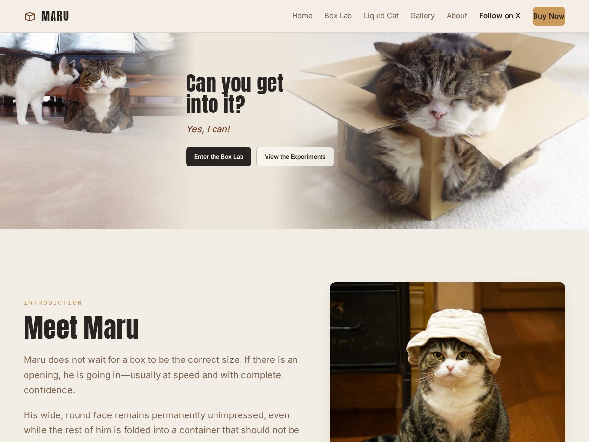 Landing-page snapshot of maruonsol.lol