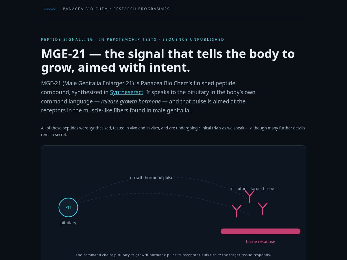 Landing-page snapshot of mge21.com