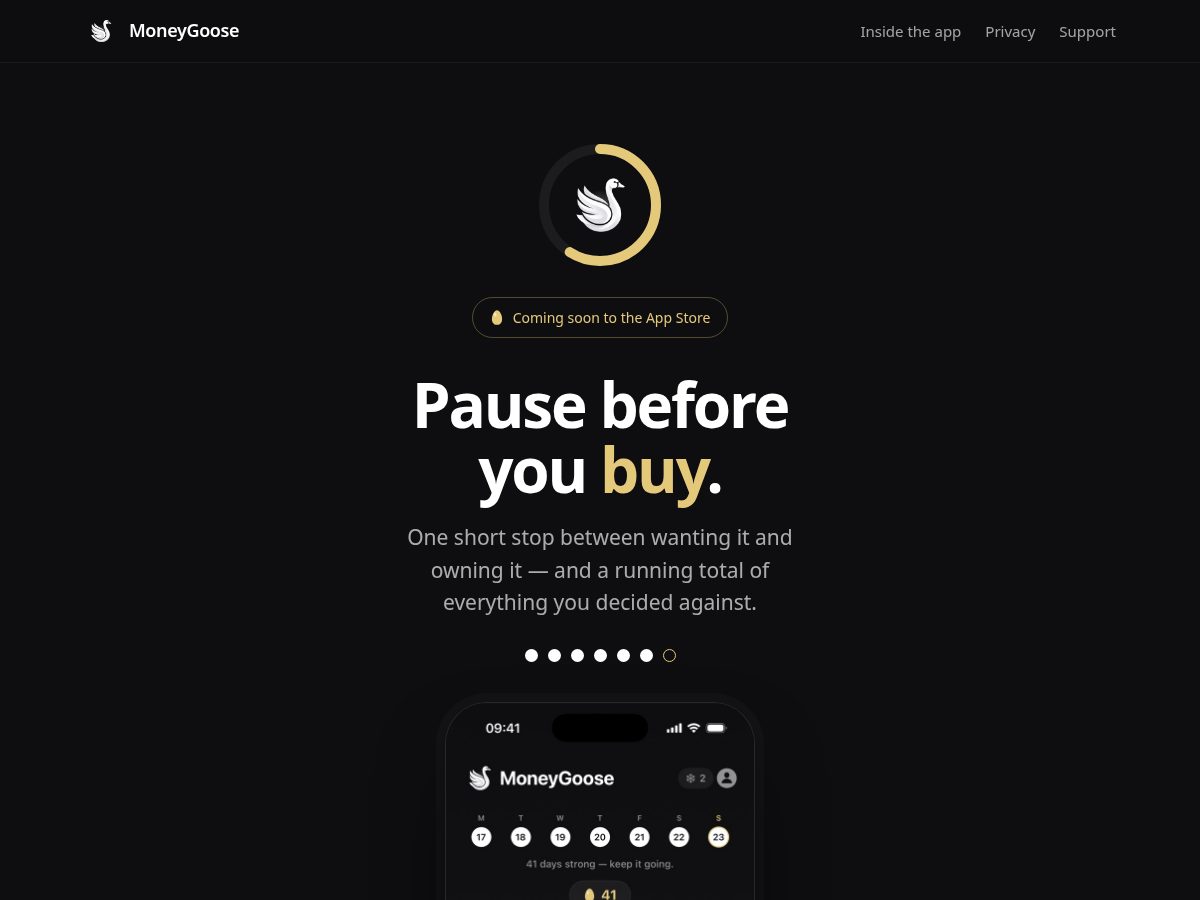 Landing-page snapshot of moneygoose.app