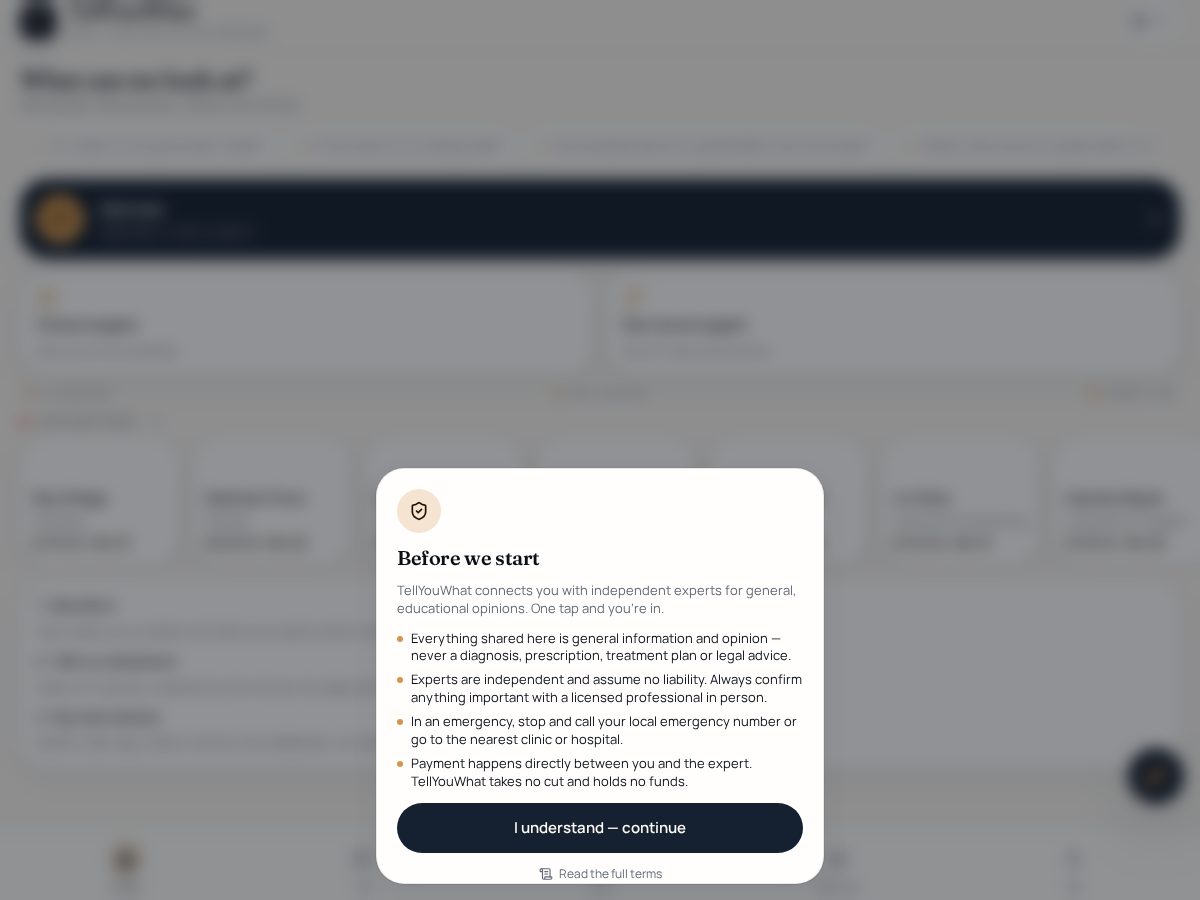 Landing-page snapshot of tellyouwhat.app