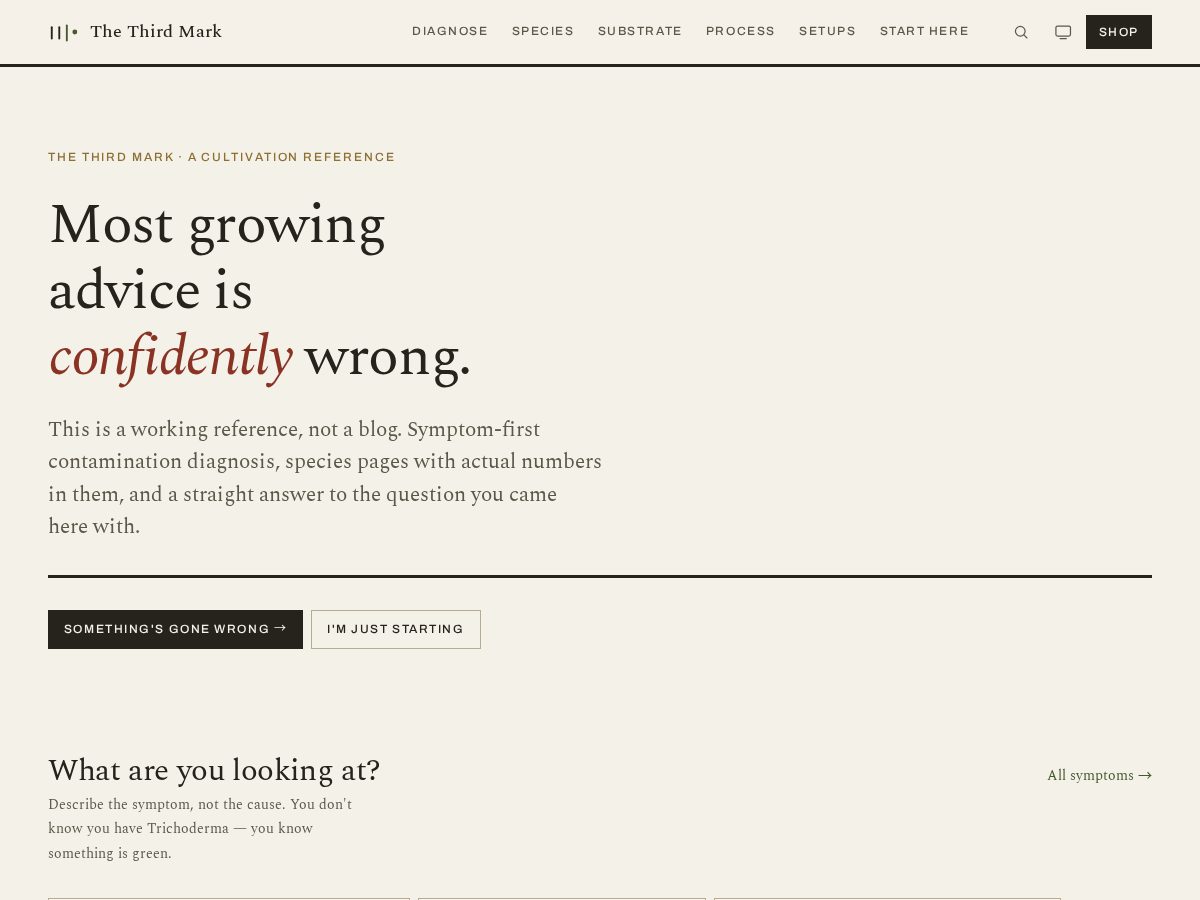 Landing-page snapshot of thethirdmark.com