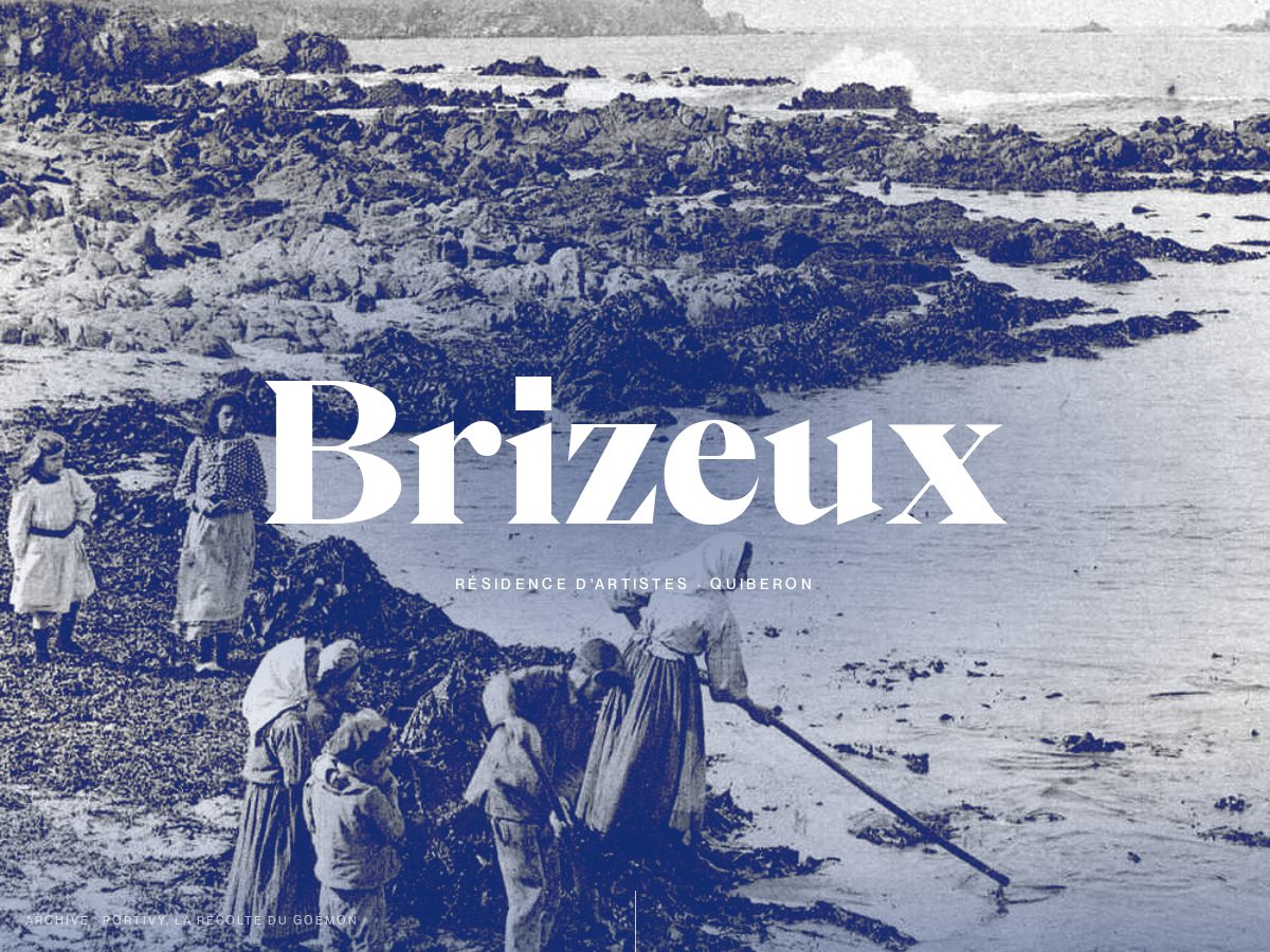 Landing-page snapshot of brizeux.com