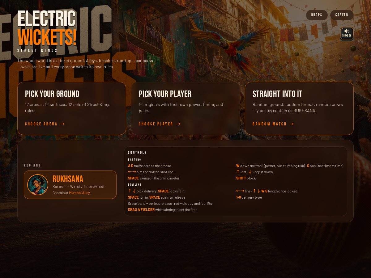 Landing-page snapshot of electricwickets.com