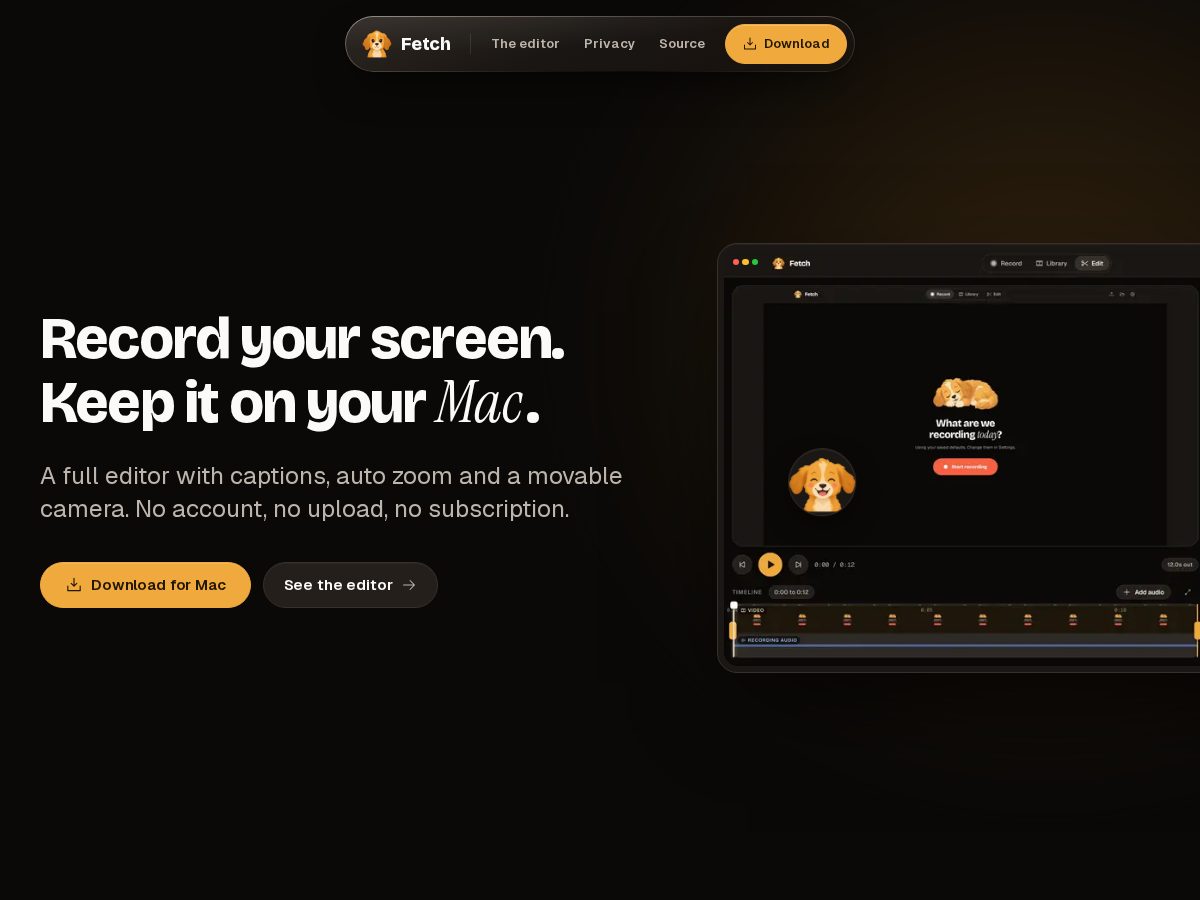 Landing-page snapshot of getfetch.fyi