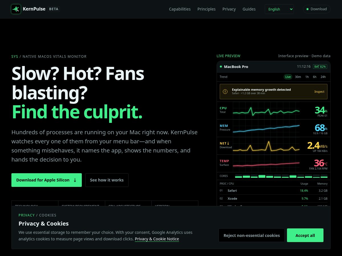 Landing-page snapshot of kernpulse.com