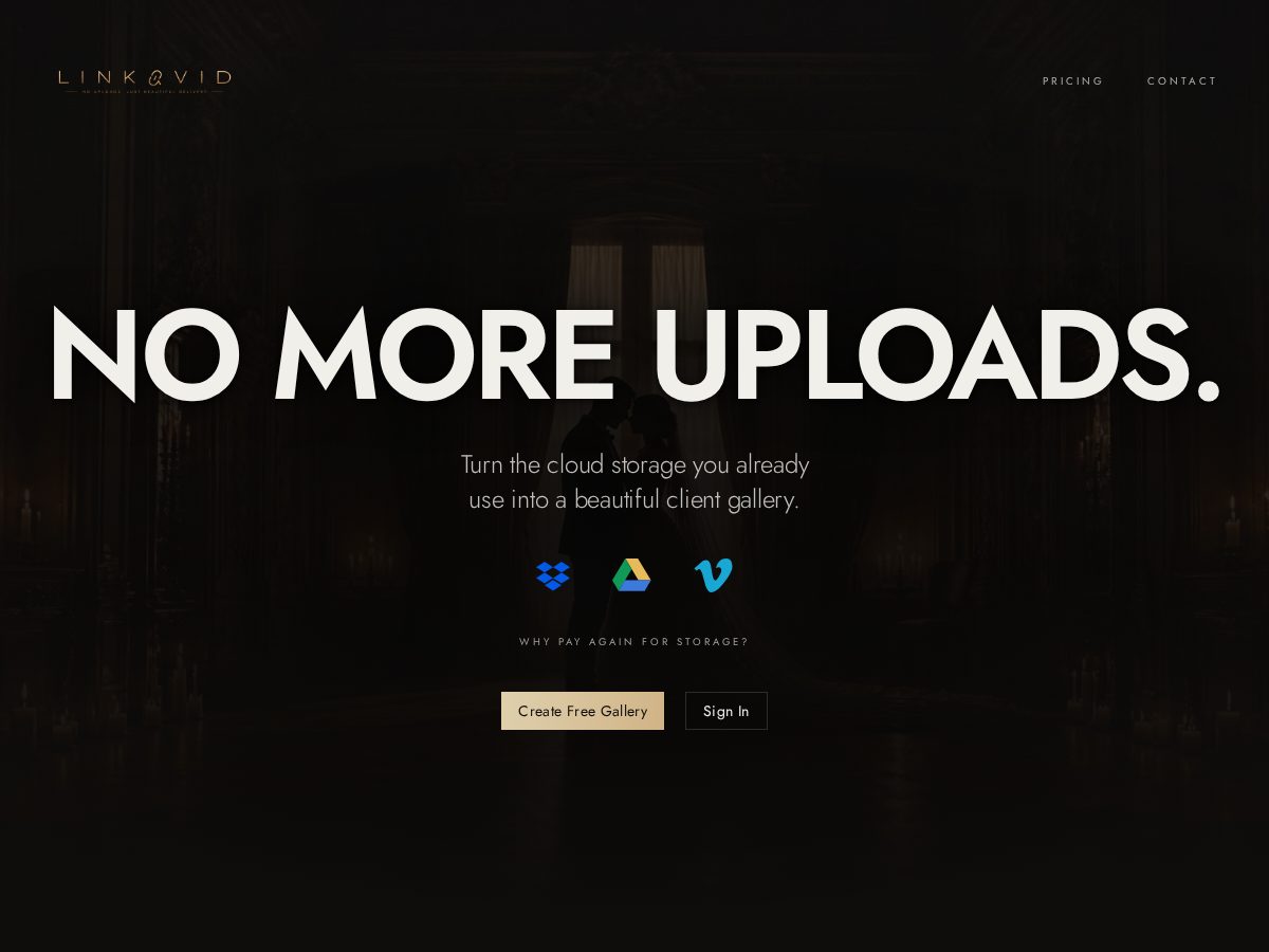 Landing-page snapshot of linkavid.com