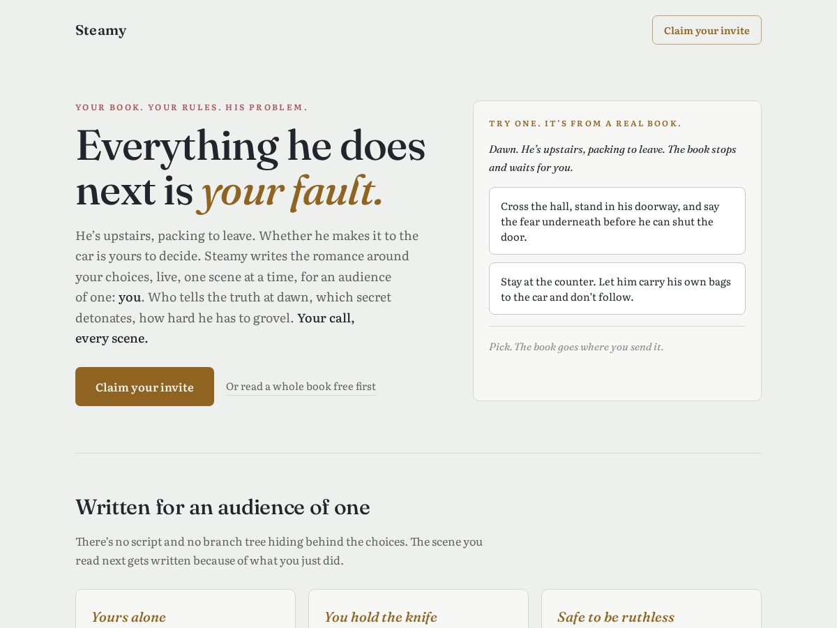 Landing-page snapshot of readsteamy.com