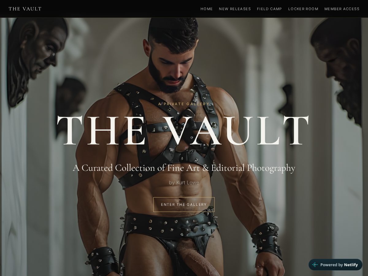 Landing-page snapshot of thevaultmen.net