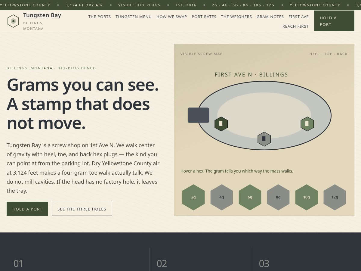 Landing-page snapshot of tungstenbay.space