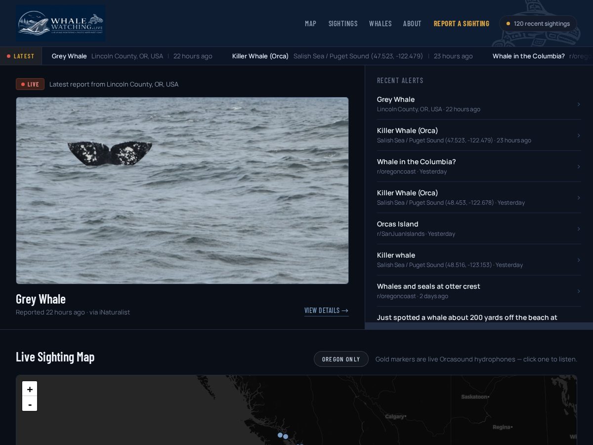 Landing-page snapshot of whalewatching.live