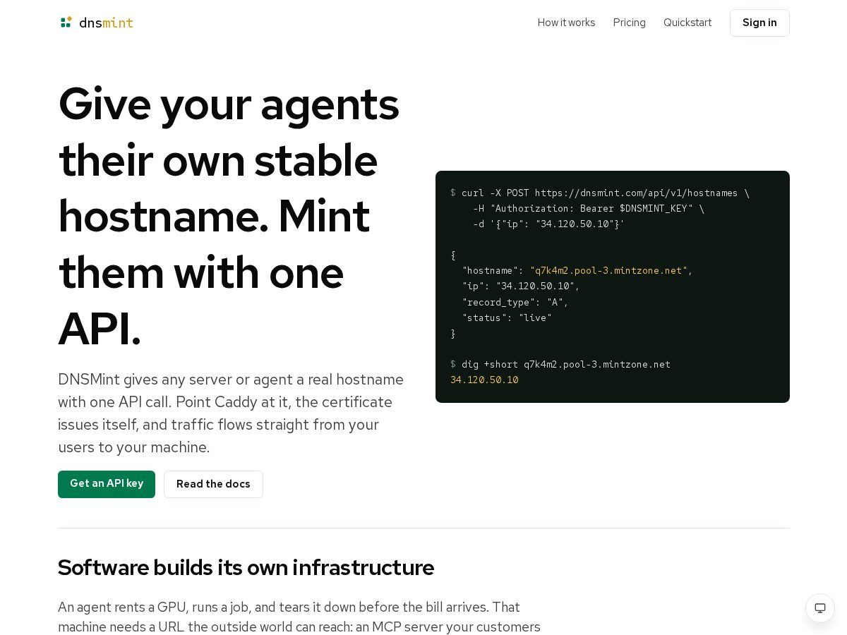 Landing-page snapshot of dnsmint.com