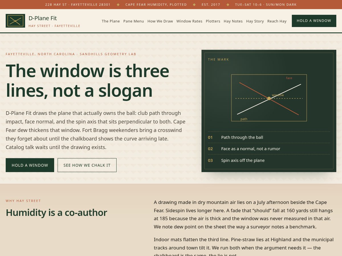 Landing-page snapshot of dplanefit.shop