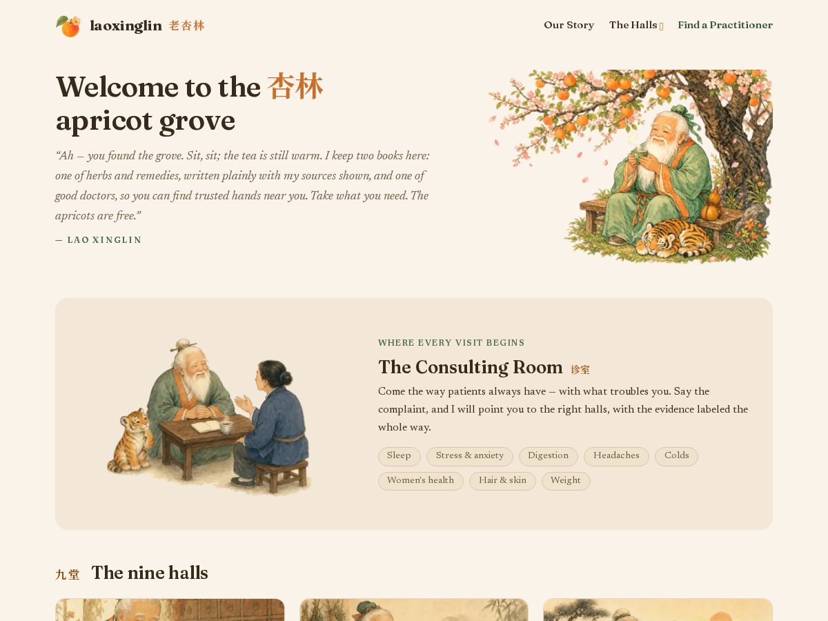 Landing-page snapshot of laoxinglin.com