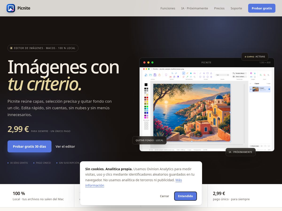 Landing-page snapshot of picnite.com