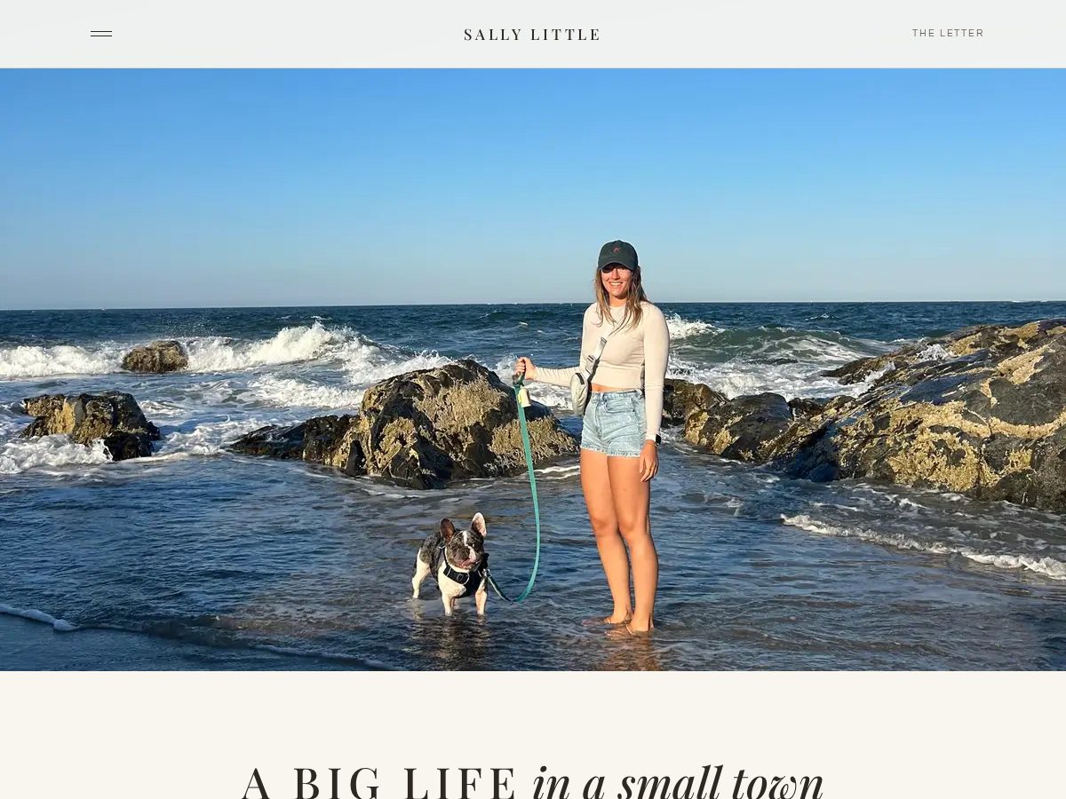 Landing-page snapshot of sallynlittle.com
