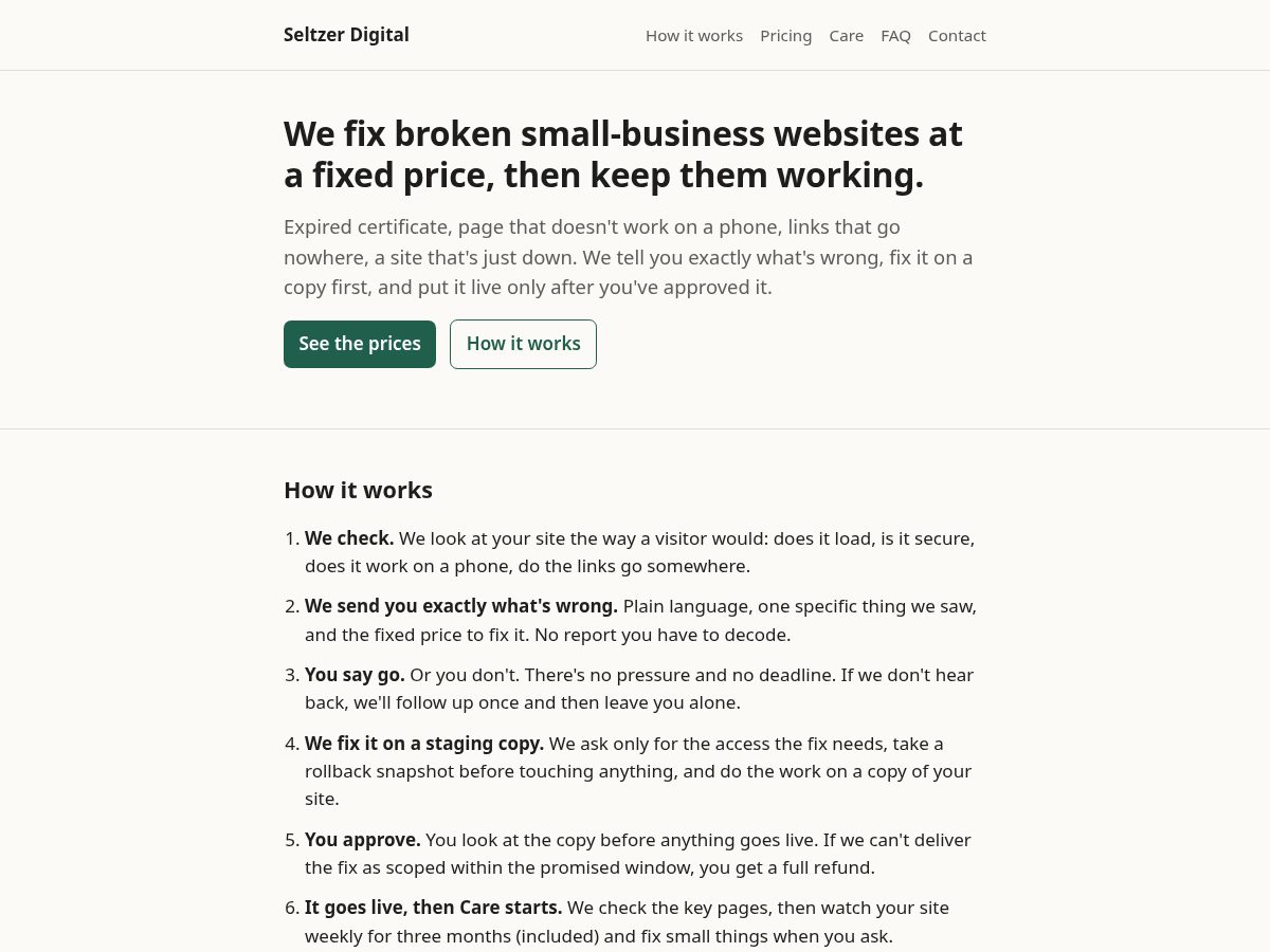 Landing-page snapshot of seltzerdigital.com