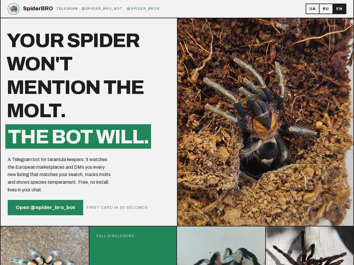 Landing-page snapshot of spiderbro.app