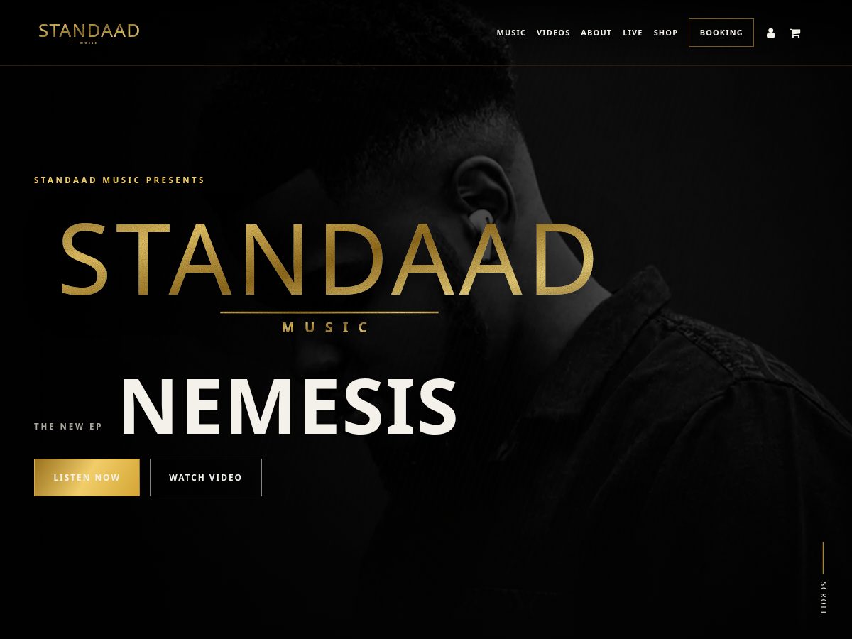 Landing-page snapshot of standaad.com