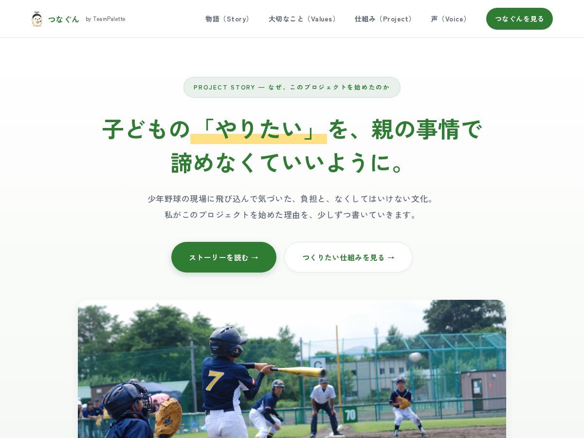 Landing-page snapshot of teampalette.net