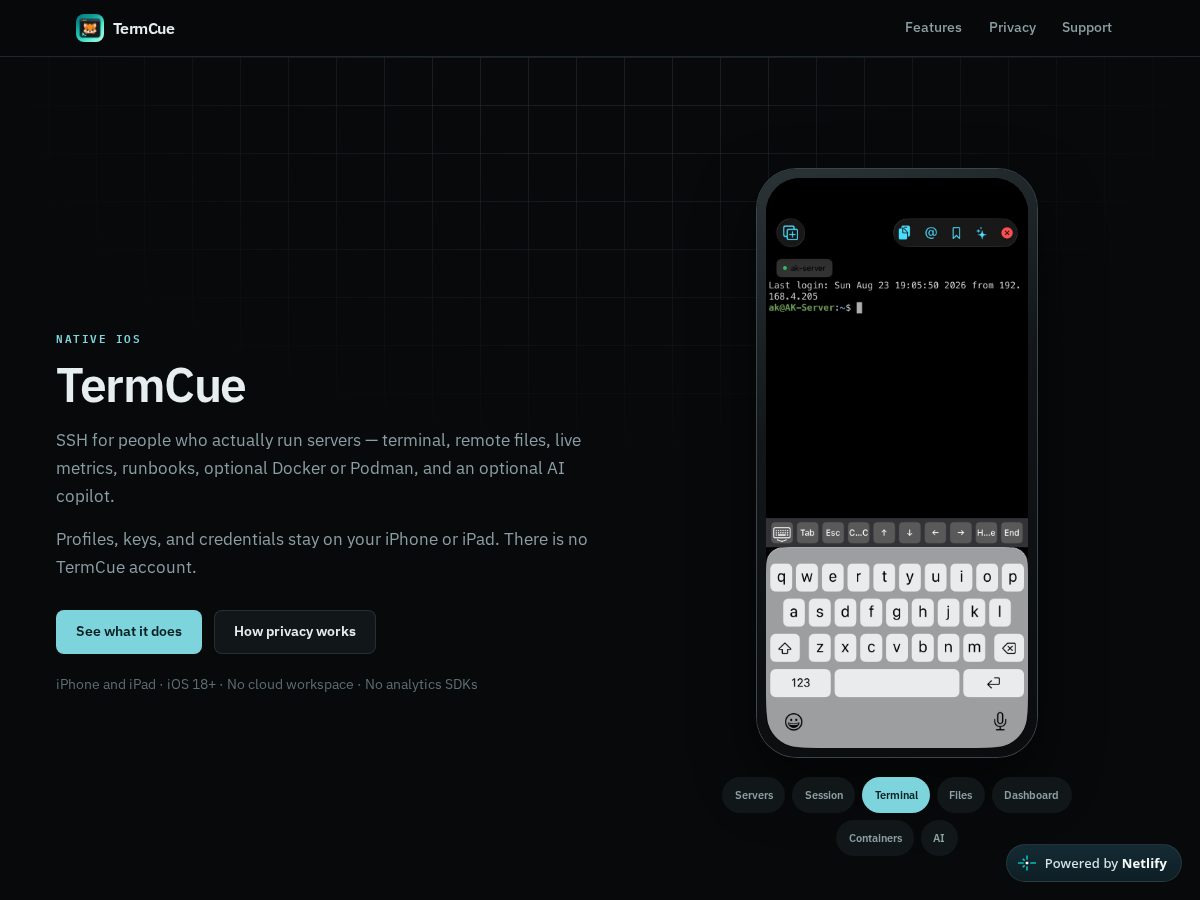 Landing-page snapshot of termcue.com