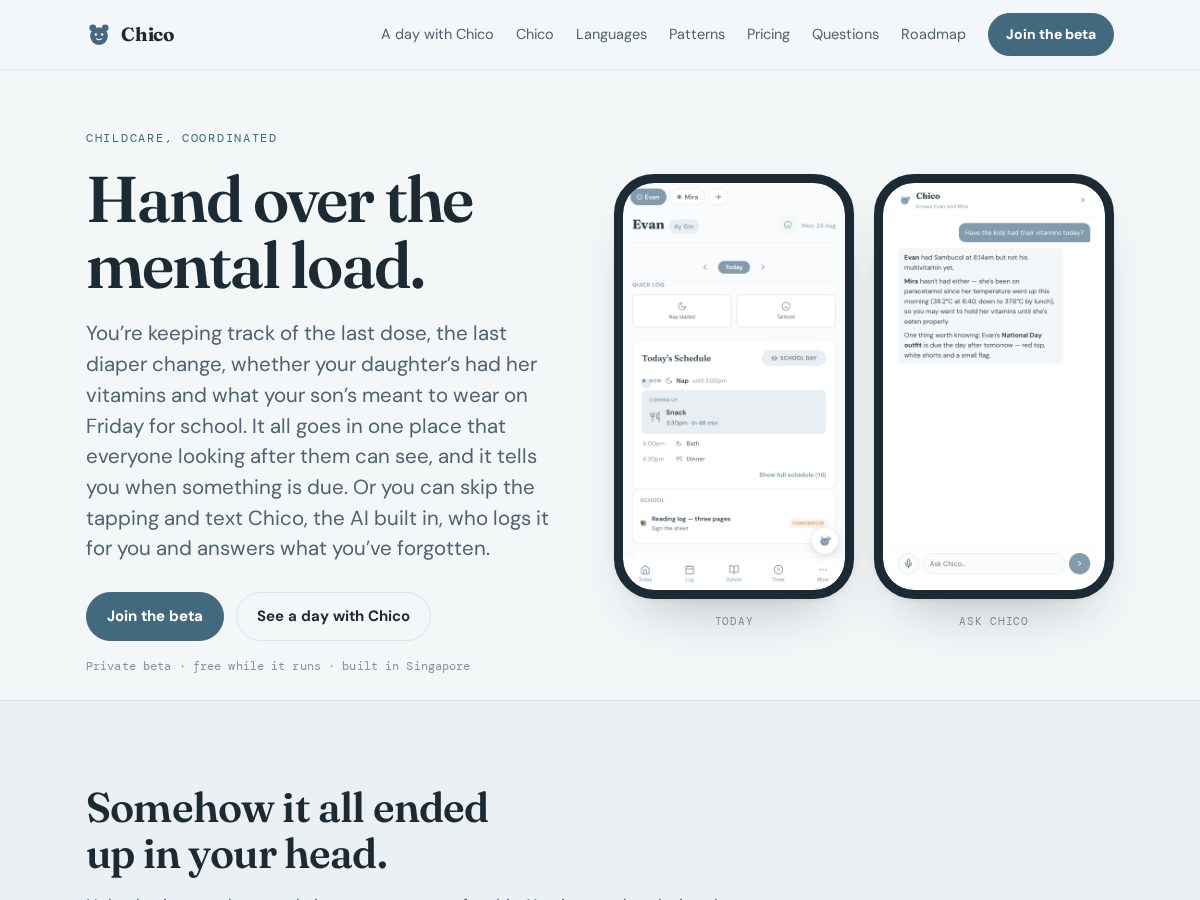 Landing-page snapshot of yourchico.com