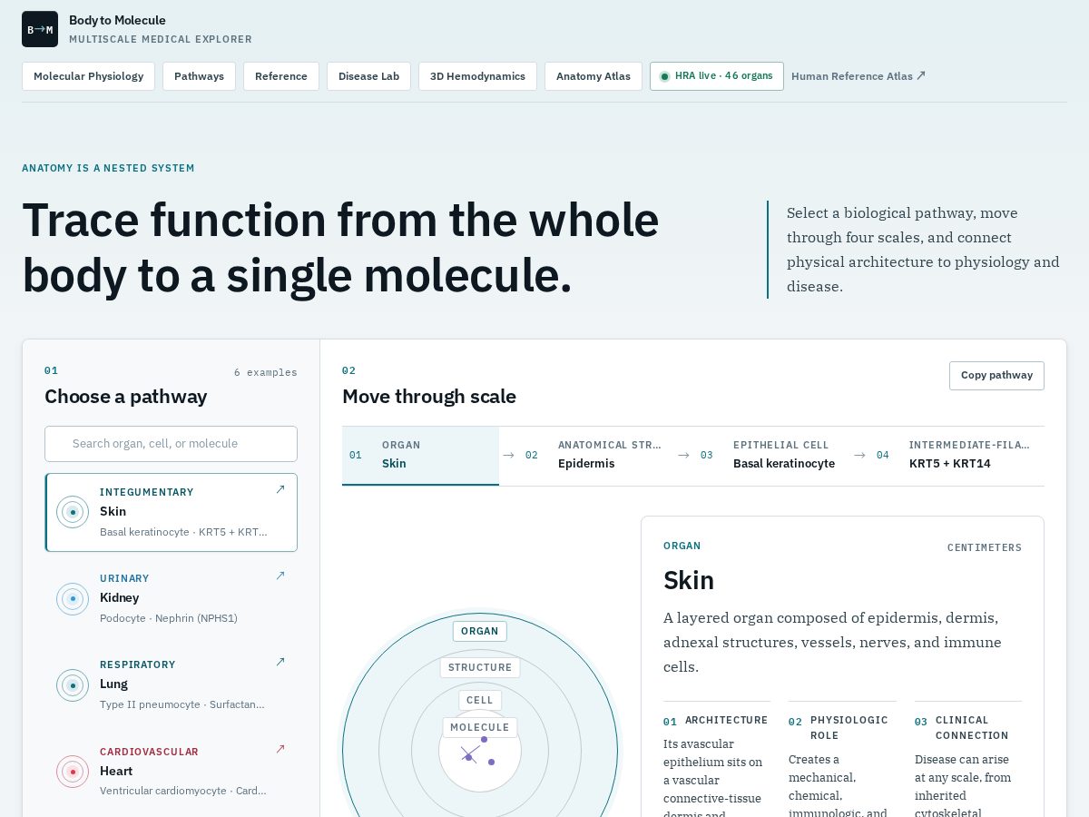 Landing-page snapshot of bodytomolecule.org