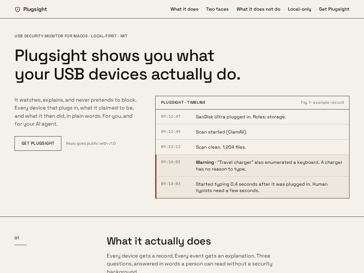 Landing-page snapshot of plugsight.com