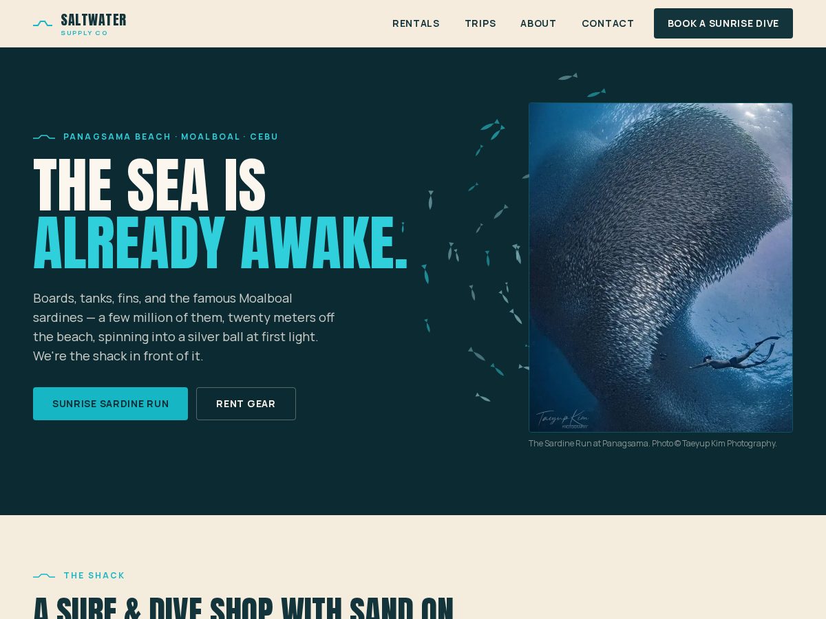 Landing-page snapshot of roman-test-final.xyz