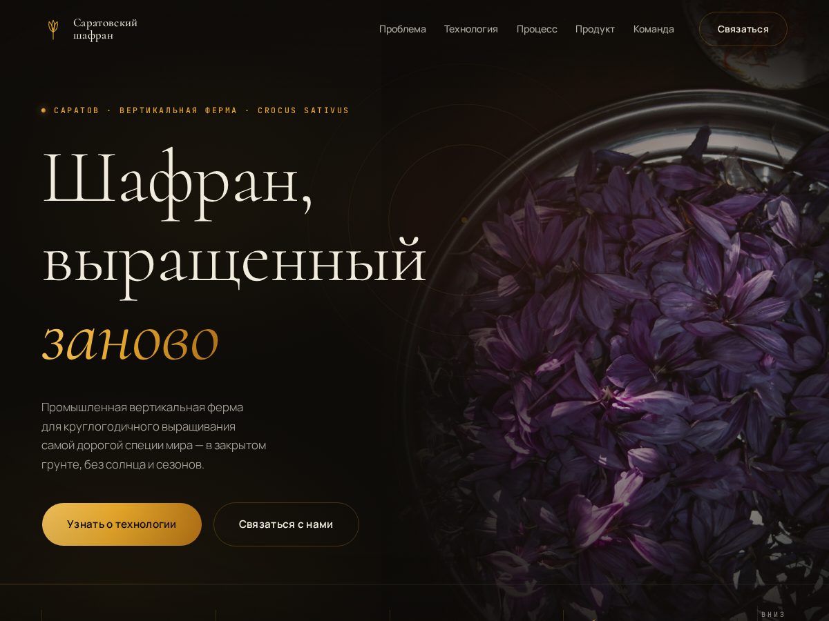 Landing-page snapshot of safran-saratov.com