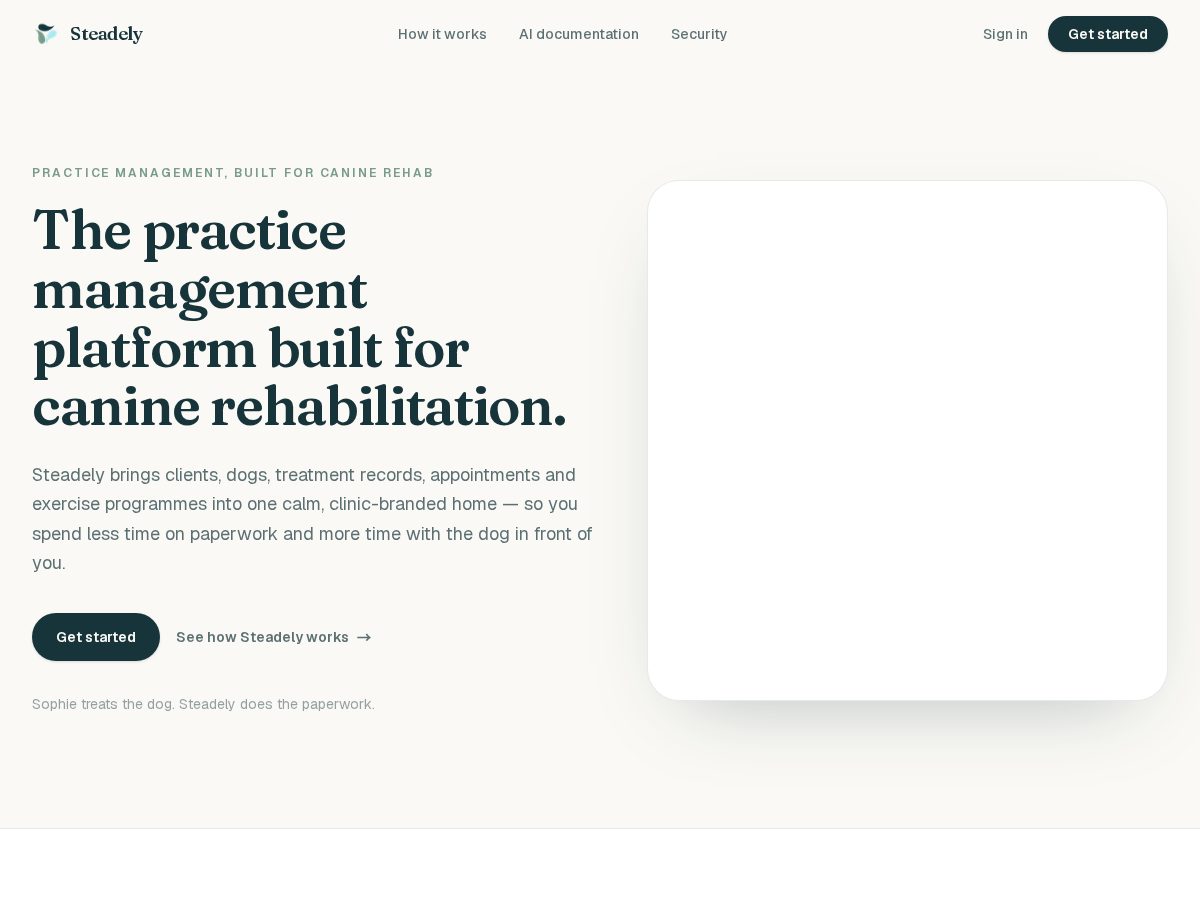 Landing-page snapshot of steadely.app
