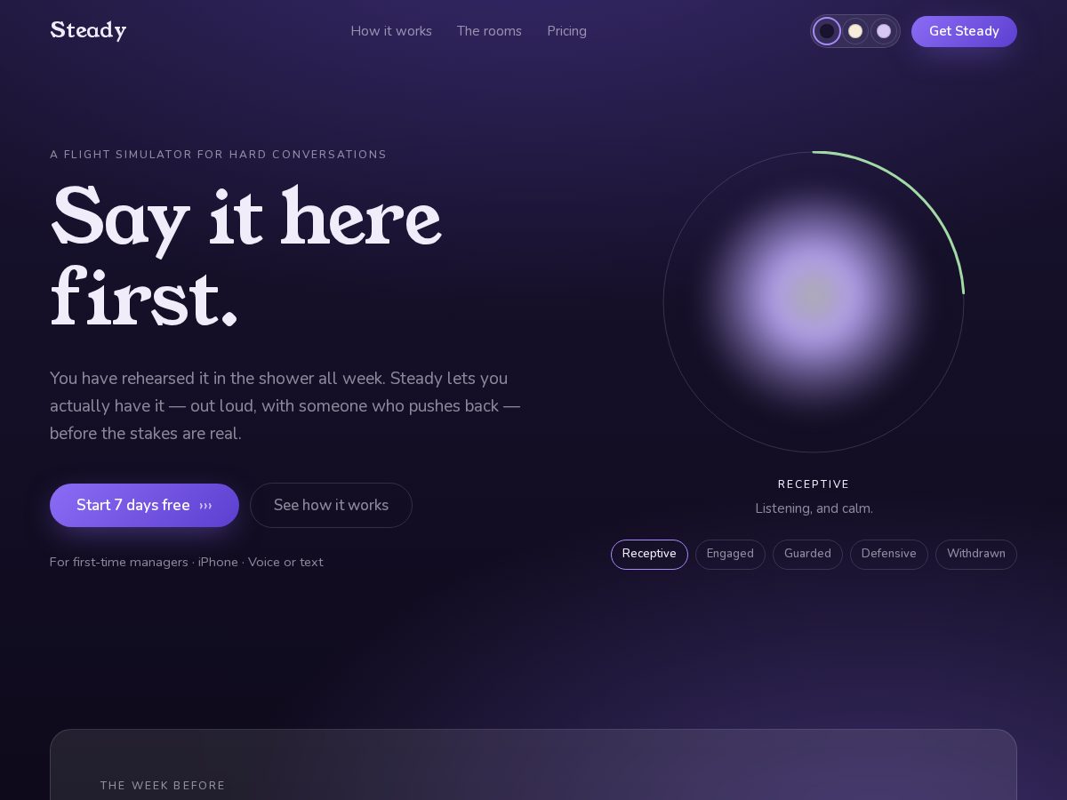 Landing-page snapshot of steadyyy.com