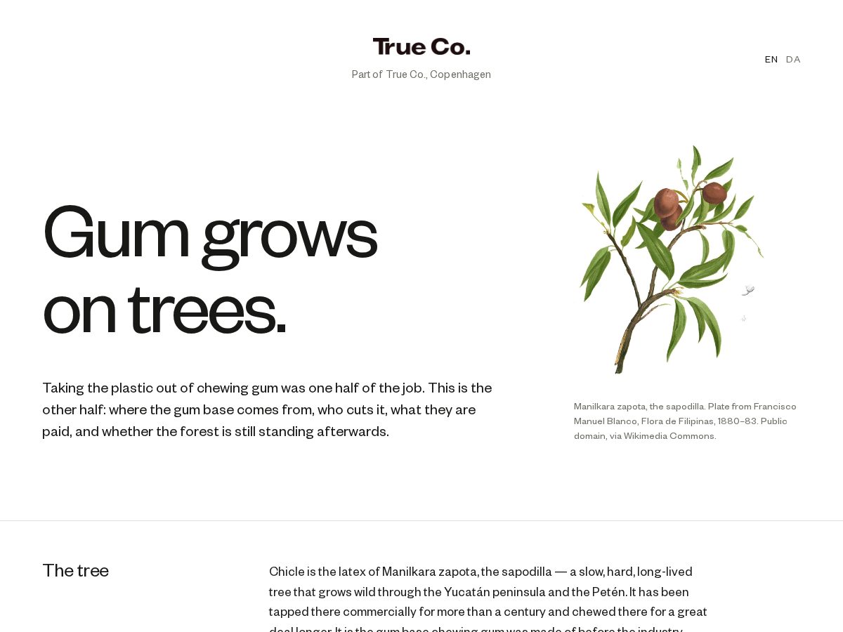 Landing-page snapshot of truegum.org