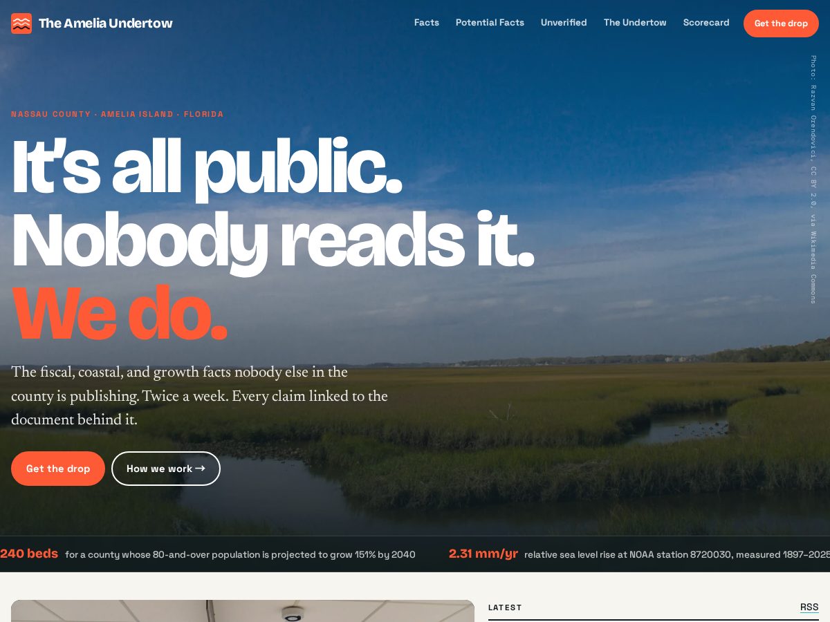 Landing-page snapshot of ameliaundertow.com