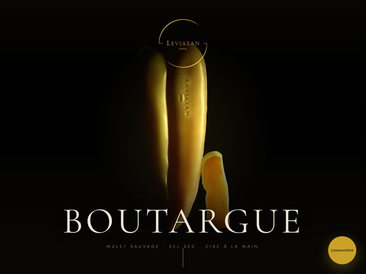 Landing-page snapshot of boutargue-leviatanparis.com