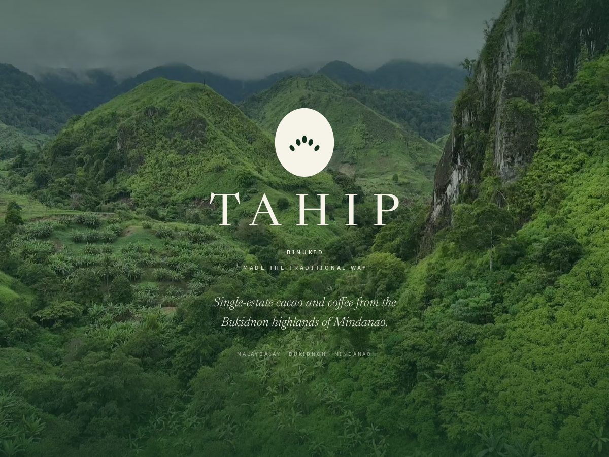 Landing-page snapshot of drinktahip.com