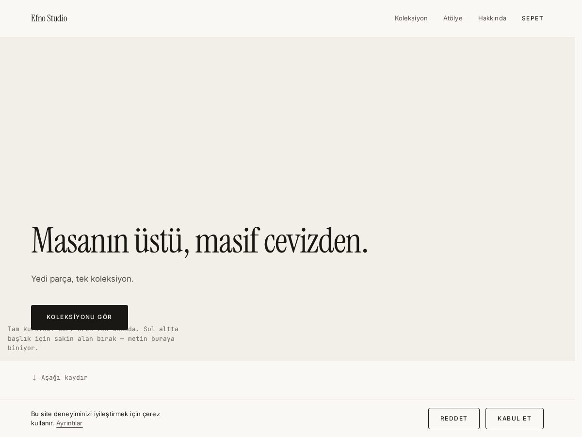 Landing-page snapshot of efnostudio.com