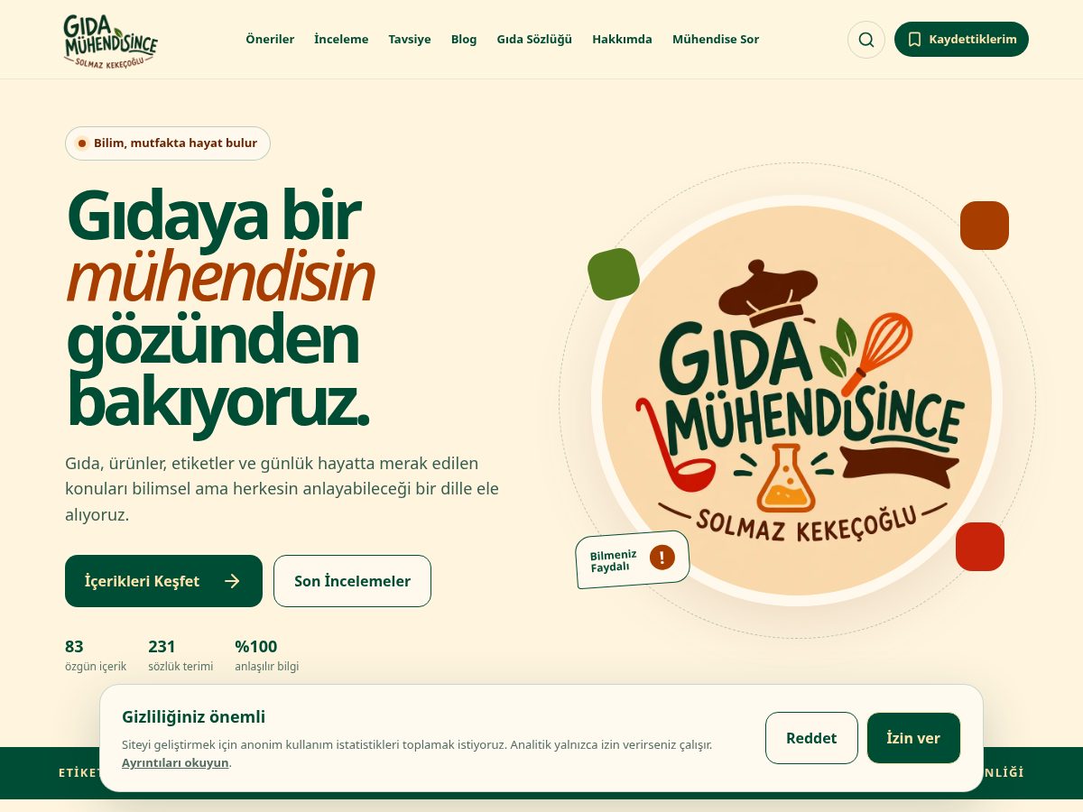 Landing-page snapshot of gidamuhendisince.com