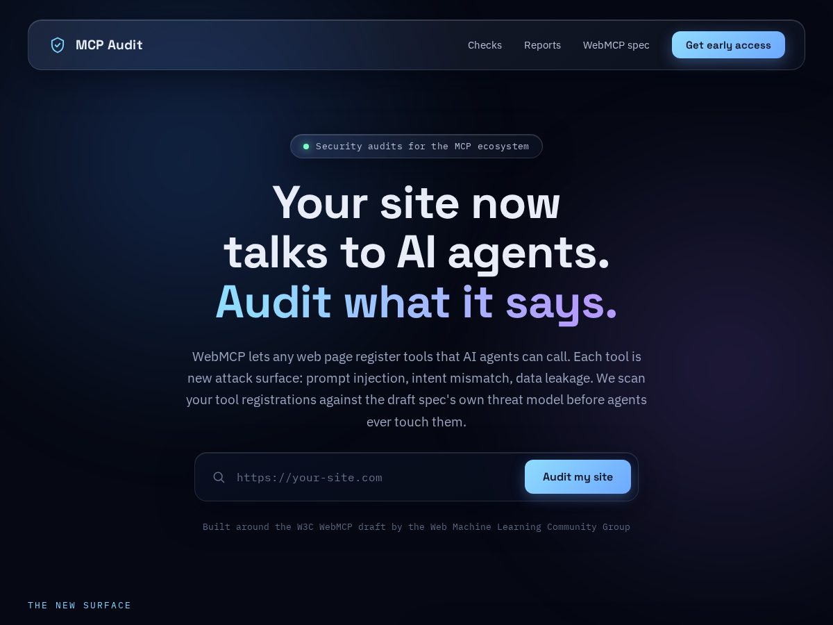 Landing-page snapshot of mcpaudit.online