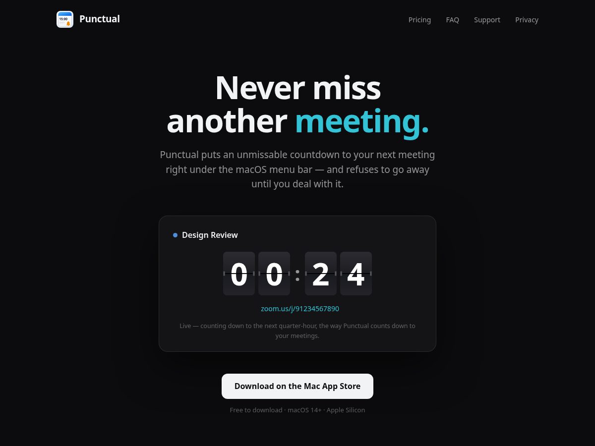 Landing-page snapshot of punctual.info
