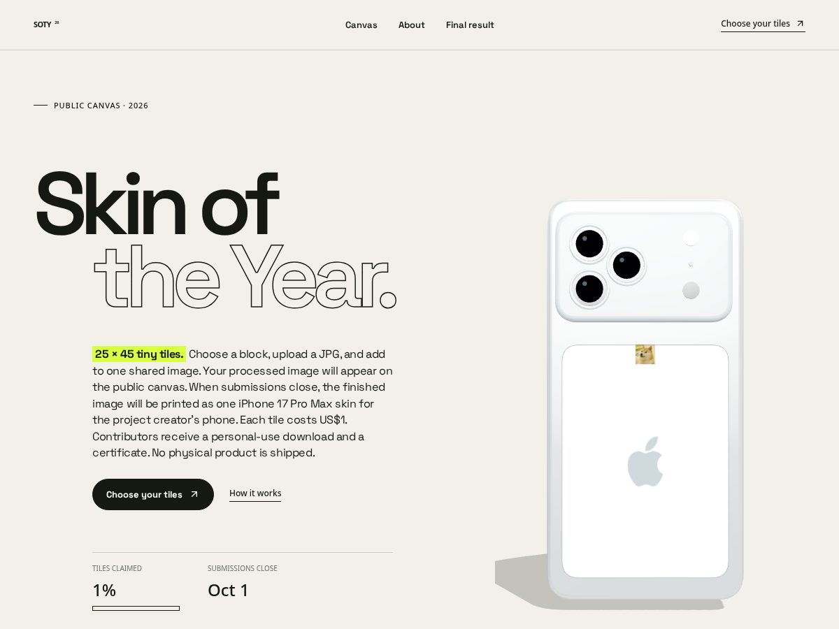 Landing-page snapshot of skinoftheyear.lol