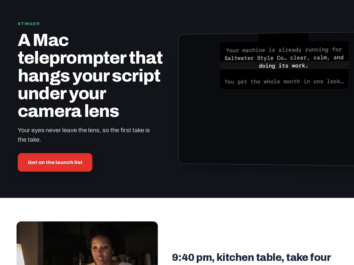 Landing-page snapshot of stingerprompt.com
