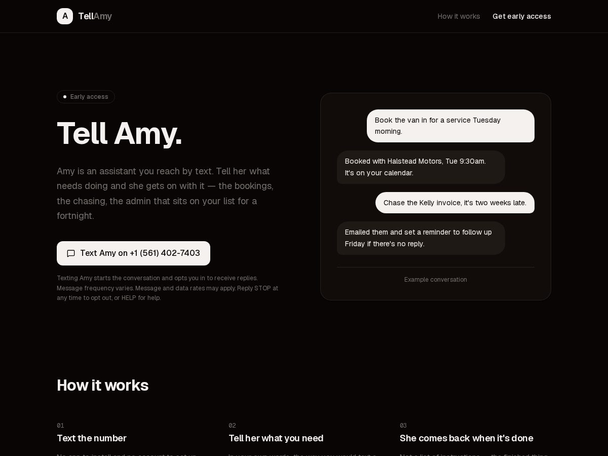 Landing-page snapshot of tellamy.app